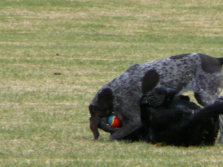 P1000177(1).JPG