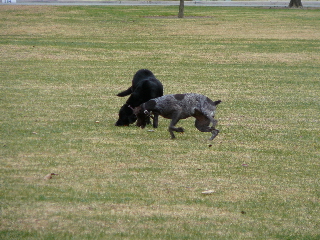 P1000179(1).JPG