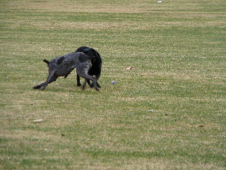 P1000180(1).JPG