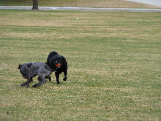P1000181(1).JPG