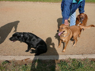 P1020510(1).JPG