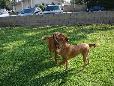 P1020535(2).JPG