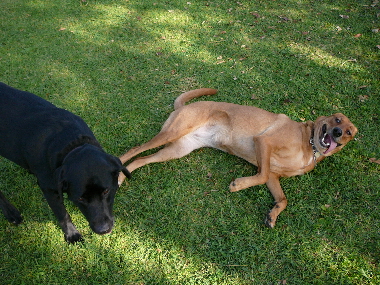 P1020538(1).JPG