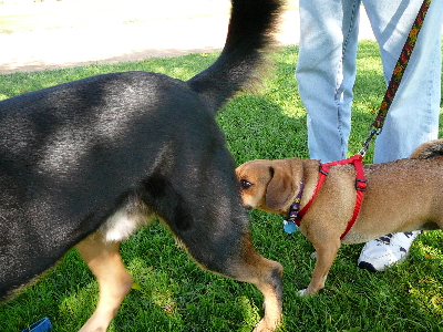 P1020836(1).JPG