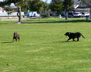 P1030170cr(1).jpg