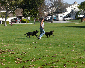 P1030218cr(1).jpg