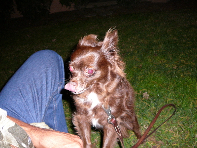 P1030431(1).JPG
