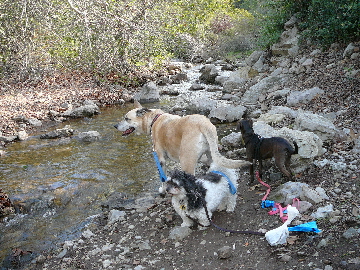 P1030727(1).JPG