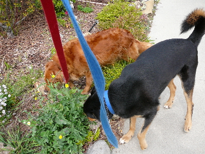 P1040077(1).JPG