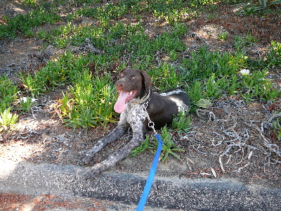 P1040162(1).JPG