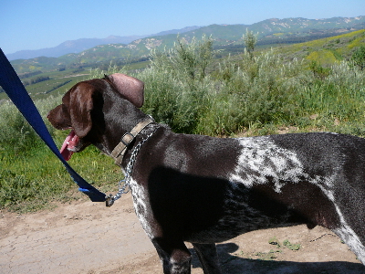 P1040168(1).JPG