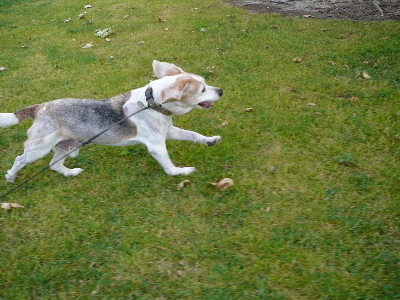 P1040349(1).JPG