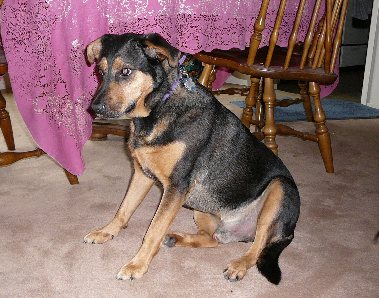 P1040408cr(1).jpg