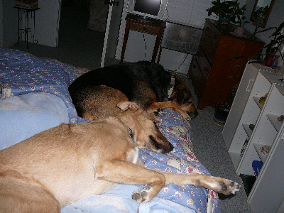 P1040907(1).JPG
