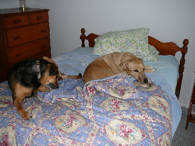 P1040919(1).JPG
