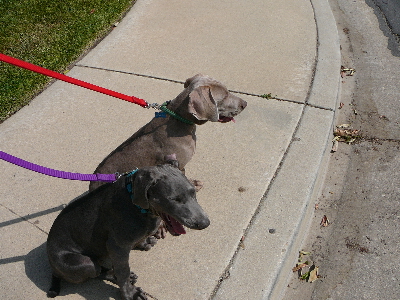 P1050087(1).JPG