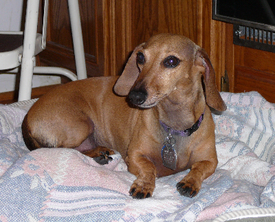 P1050284cr(1).jpg