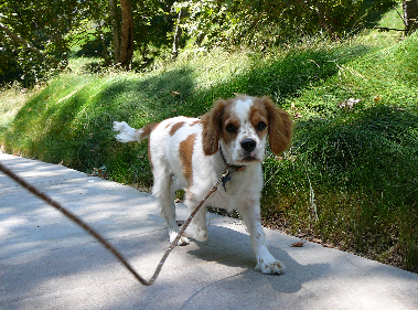 P1060023cr(1).jpg