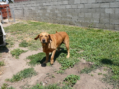 P1060175(1).JPG