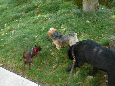 P1060708(1).JPG