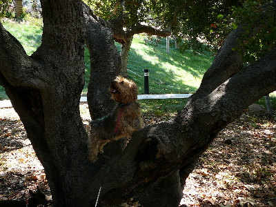 P1060735(1).JPG