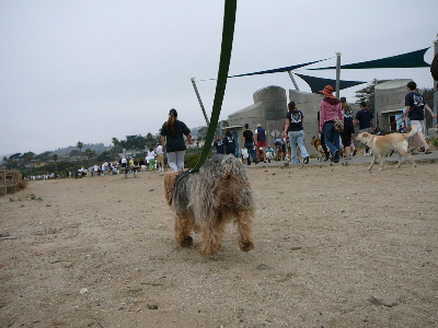 P1060779(1).JPG
