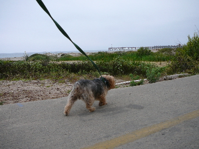 P1060795(1).JPG