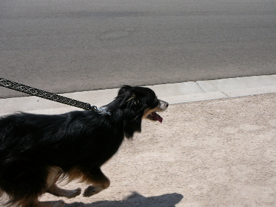 P1070020(1).JPG
