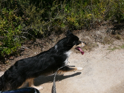 P1070024(1).JPG
