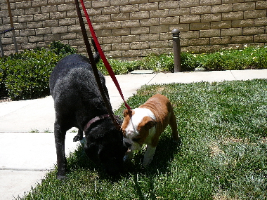 P1070038(1).JPG