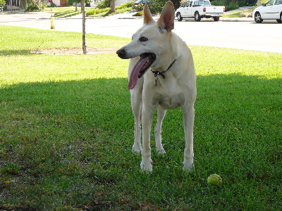 P1070843(1).JPG