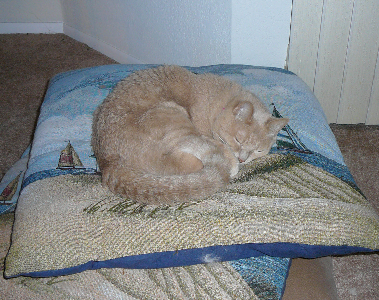 P1080425cr(1).jpg