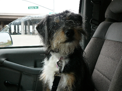 P1130226(1).JPG