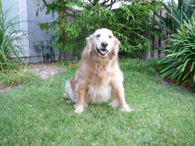 P1150895(1).JPG