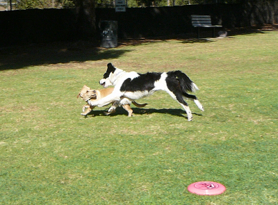 P1200275cr(1).jpg